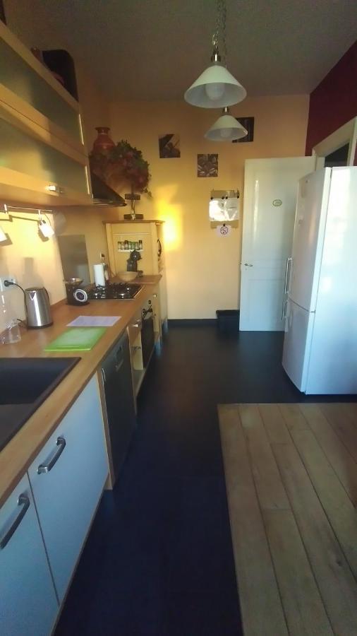 Le Grand Charpentier Apartment Mulhouse Exterior foto