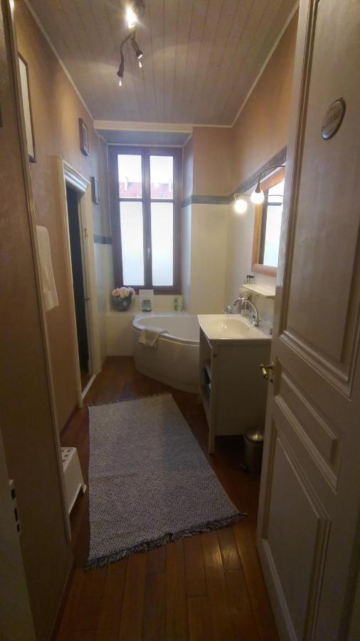 Le Grand Charpentier Apartment Mulhouse Exterior foto