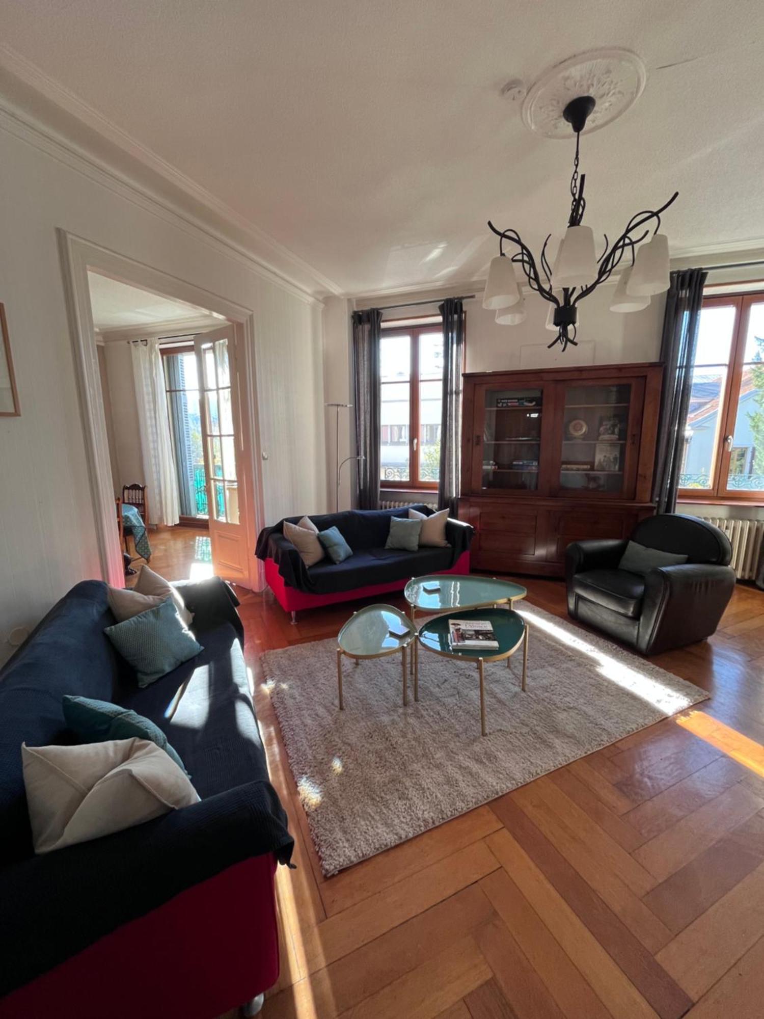 Le Grand Charpentier Apartment Mulhouse Exterior foto
